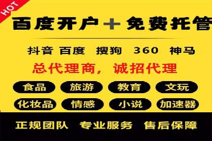 高效SEM托管公司案例对比分析
